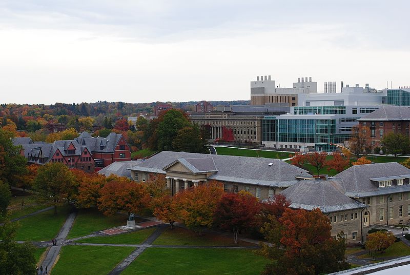 best colleges in new york- cornell university