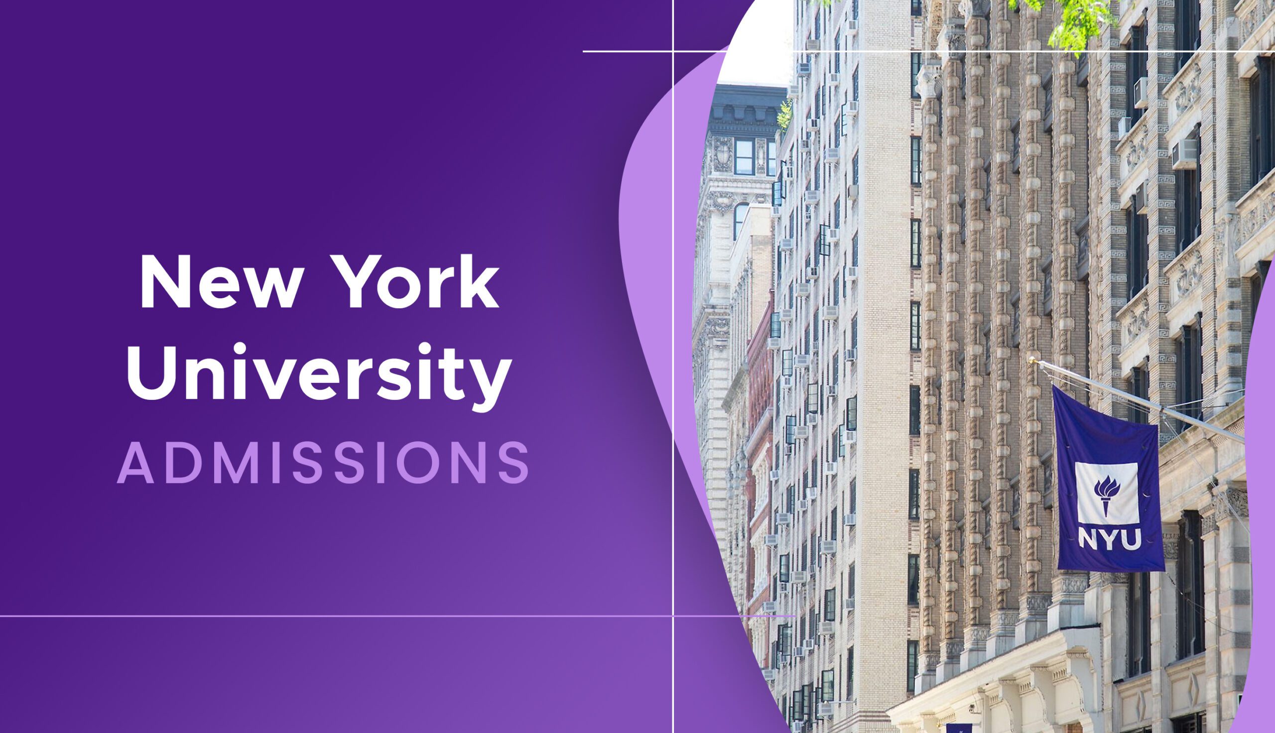 nyu phd programs list