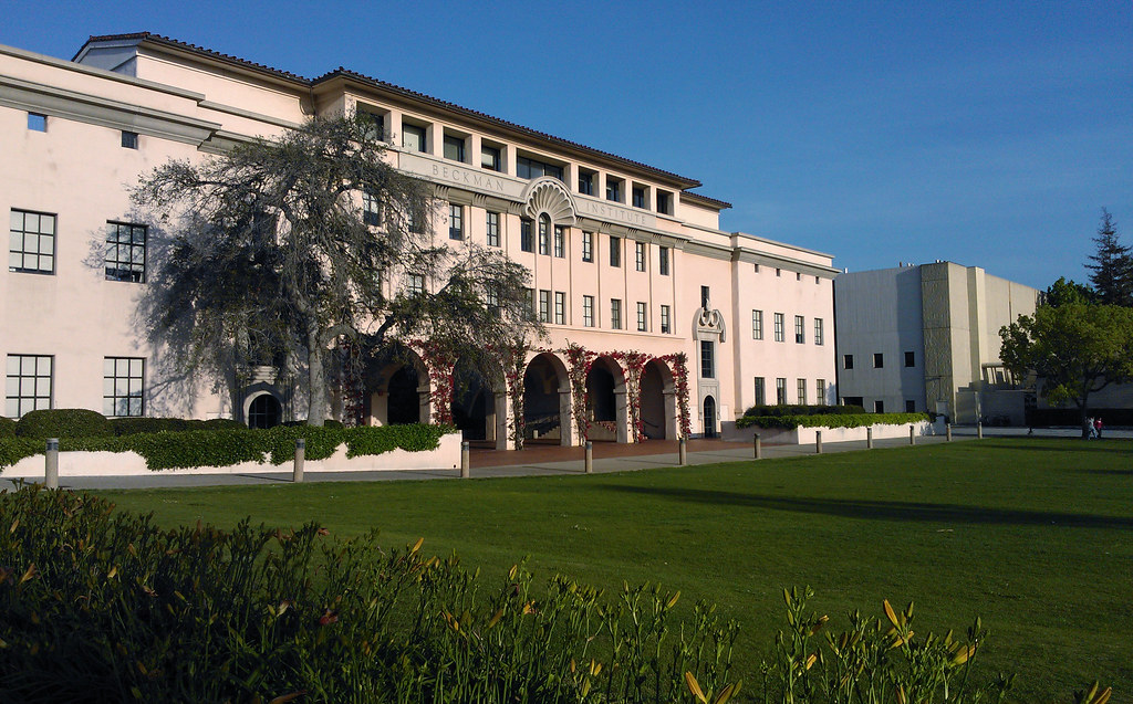 Caltech supplemental essays