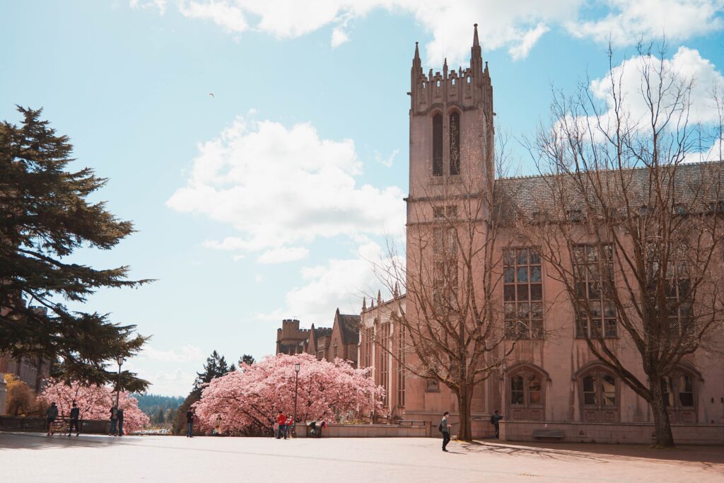 best nursing schools