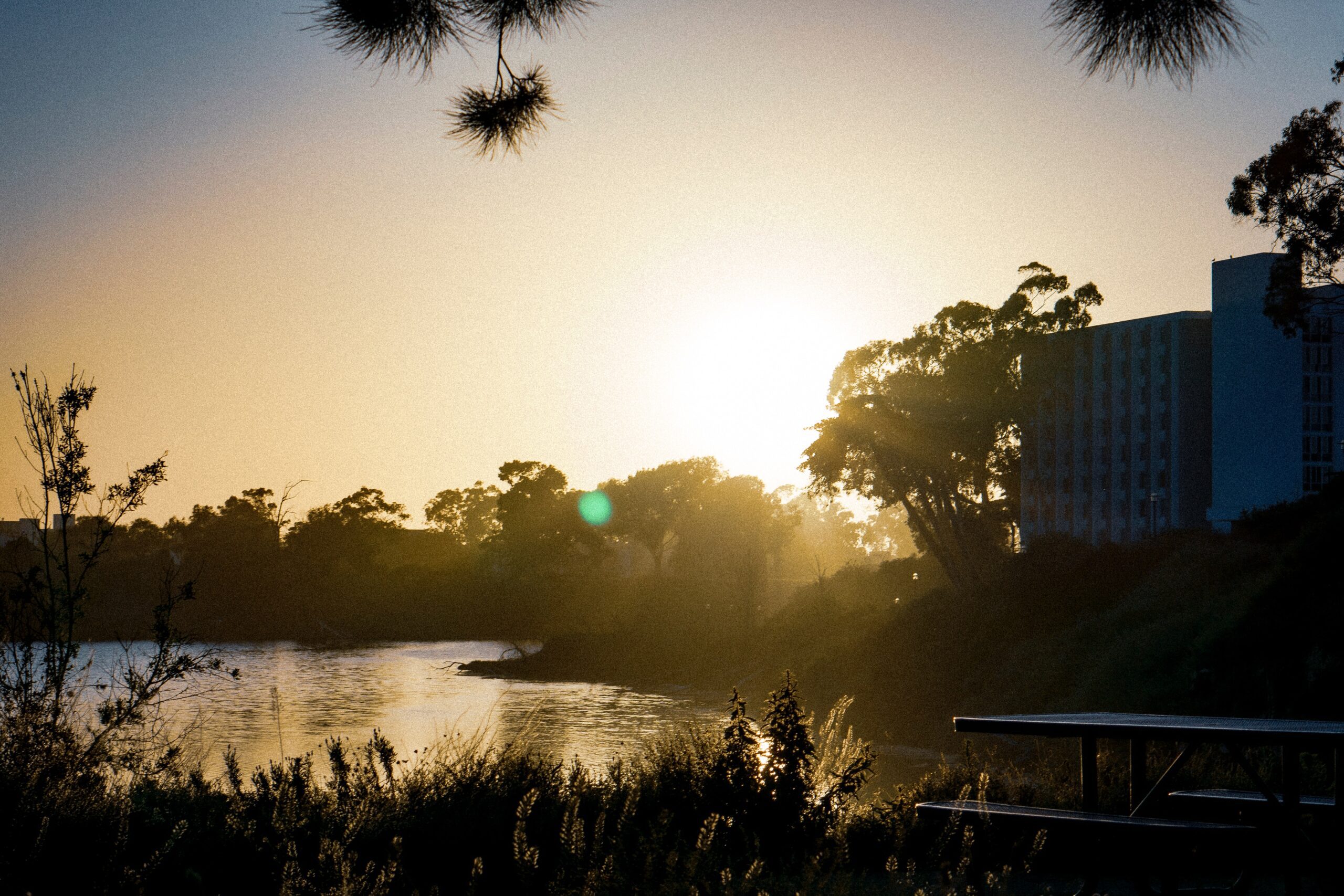 How to Get Into UCSB