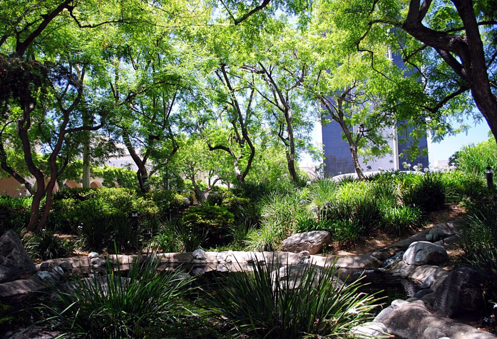 best colleges in California; Caltech
