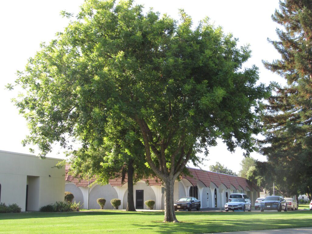 best community colleges in California
