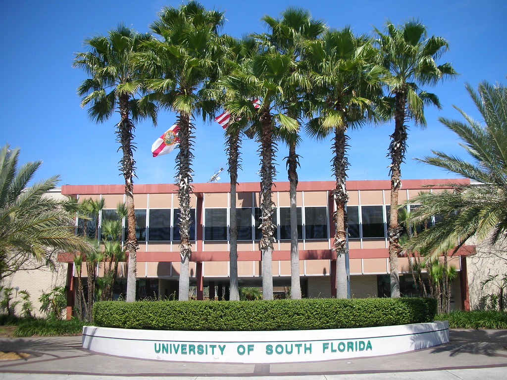 best universities in florida