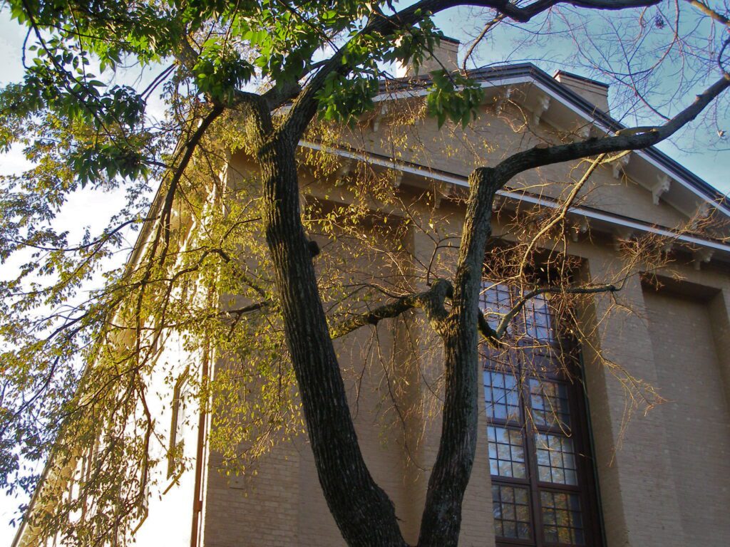 best colleges in north carolina
