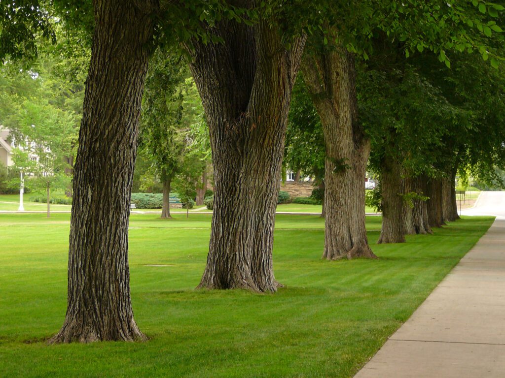 first generation college students colorado state university
