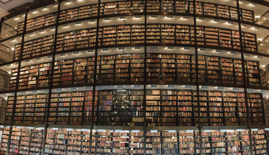 ivy league universities
