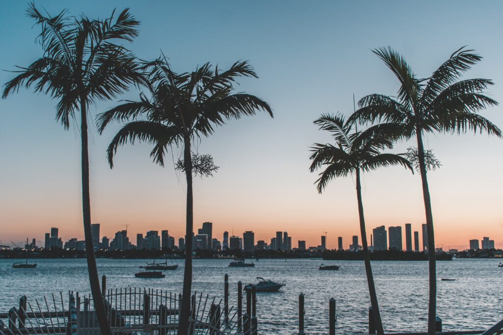 test-optional colleges in Florida