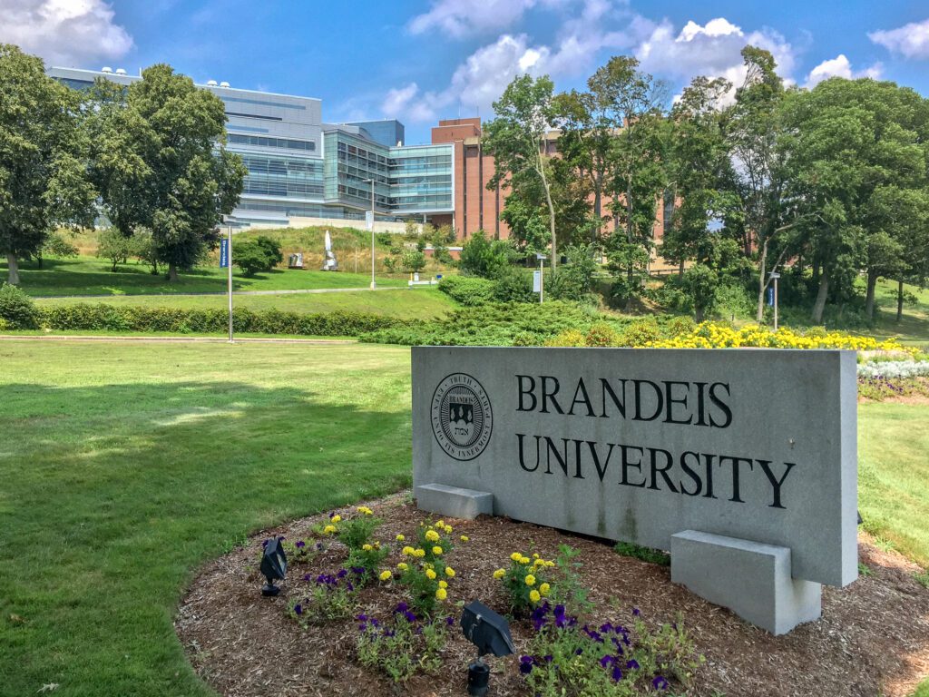 brandeis supplemental essays