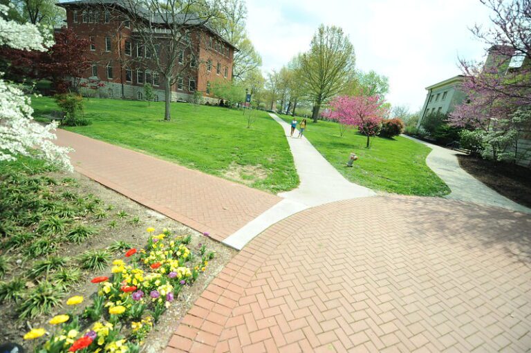Cheapest Universities In USA For International Students 4-affordable-bachelor-degree-universities-for-international-students-in