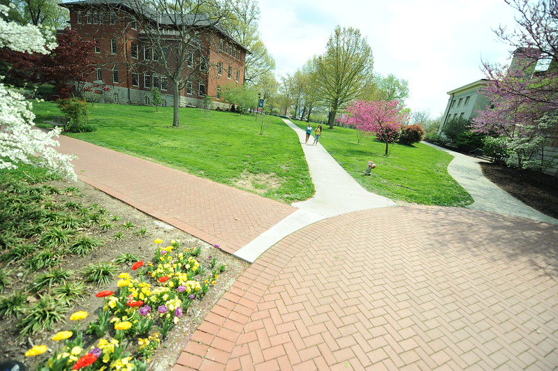 universities in usa for international students