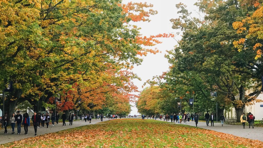 best colleges in canada