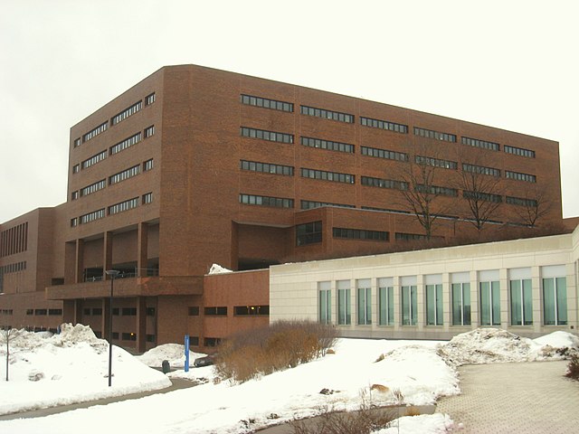 boston colleges and universities