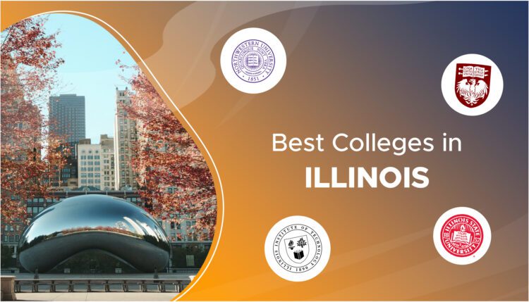 best colleges in illinois