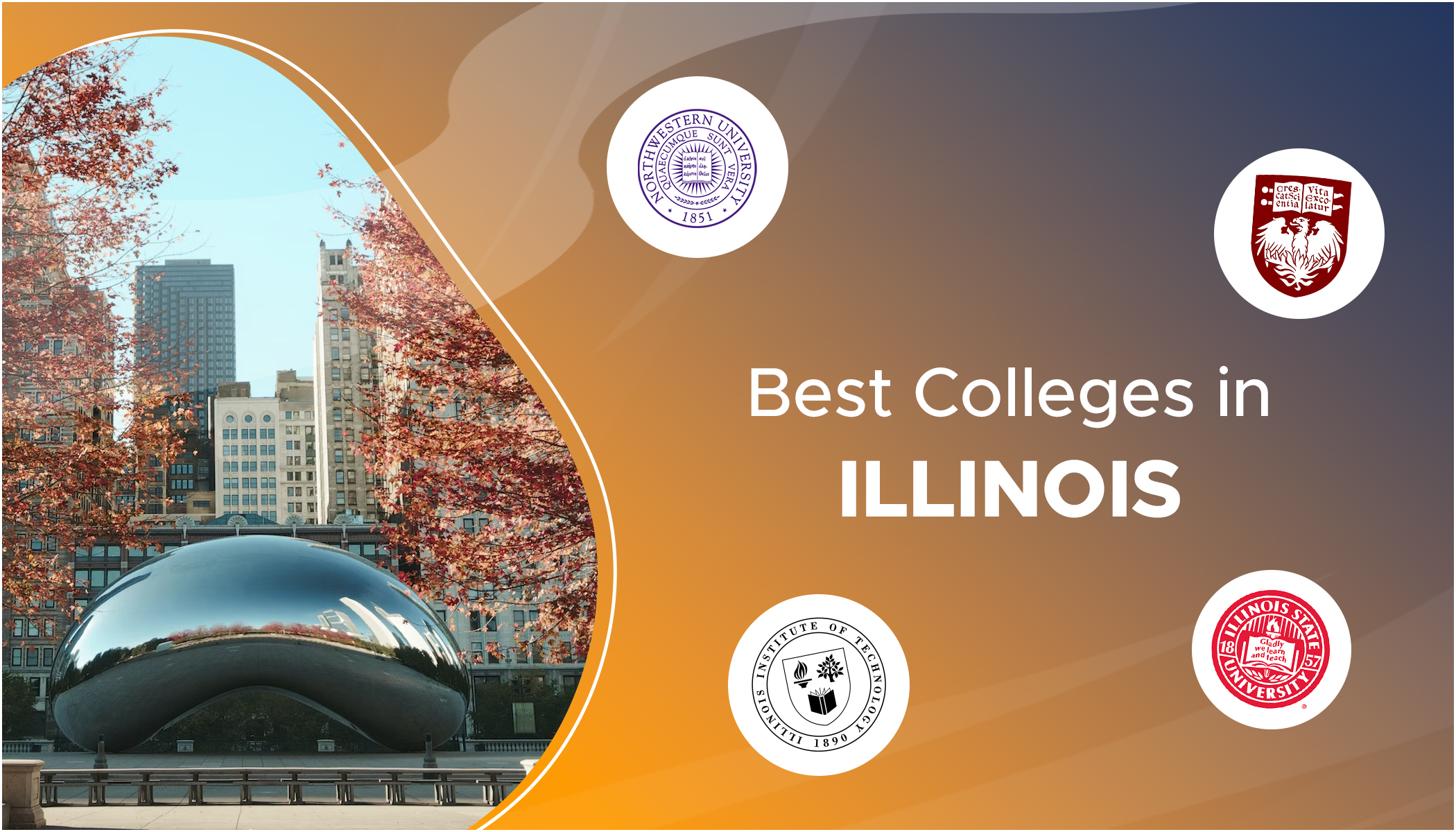 Best Colleges in Illinois