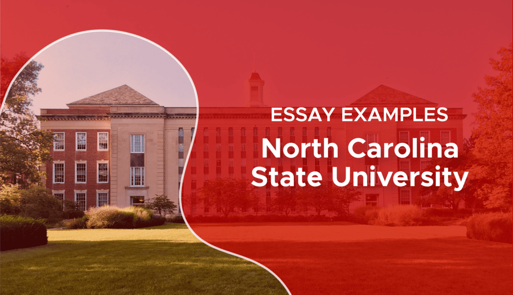 essay requirements for nc state