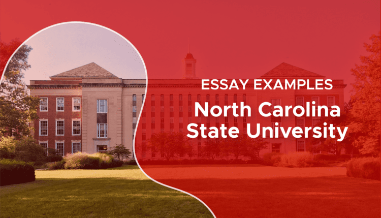 nc state supplemental essays