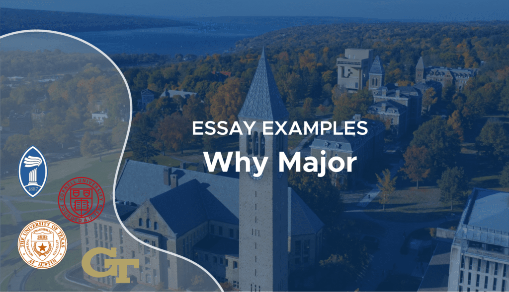 Why Major Essay |Why This Major Essay Example