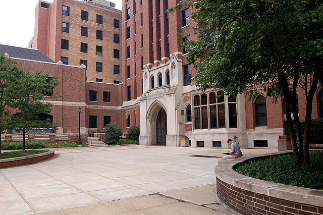 best colleges in illinois