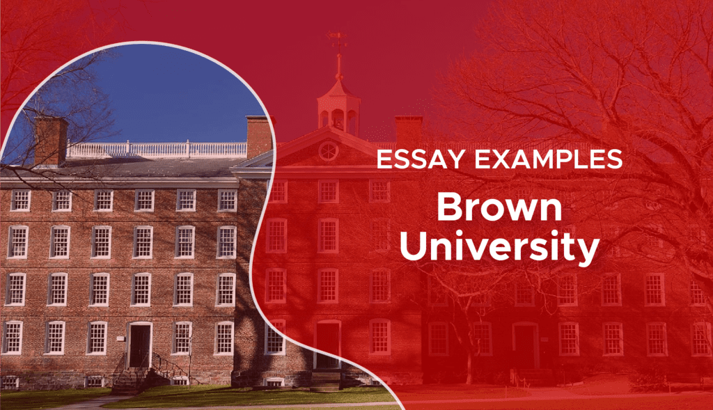 brown supplemental essay examples