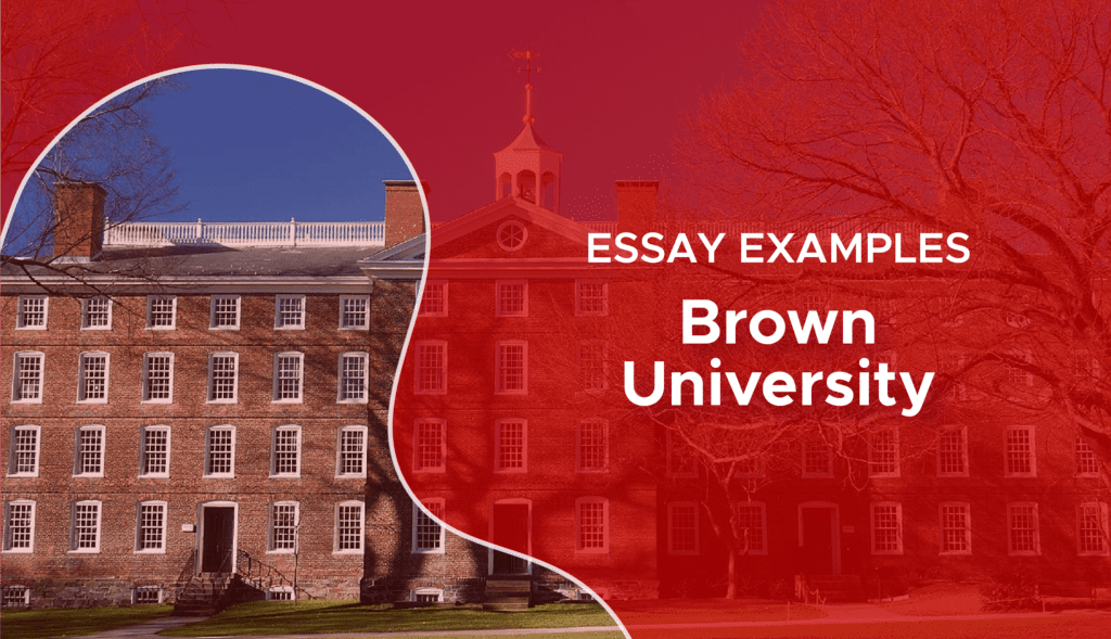 essays that worked brown