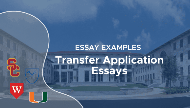 common app transfer essay