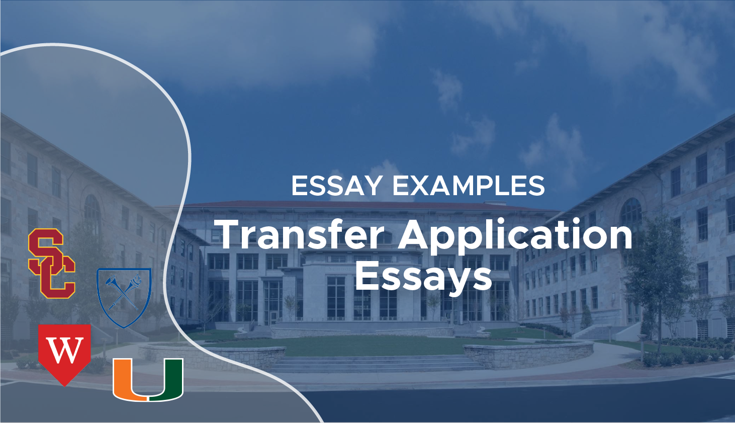 common app transfer application essay