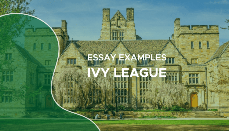 ivy league essay examples