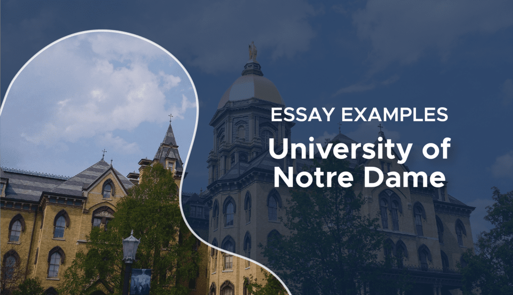 university of notre dame essay examples