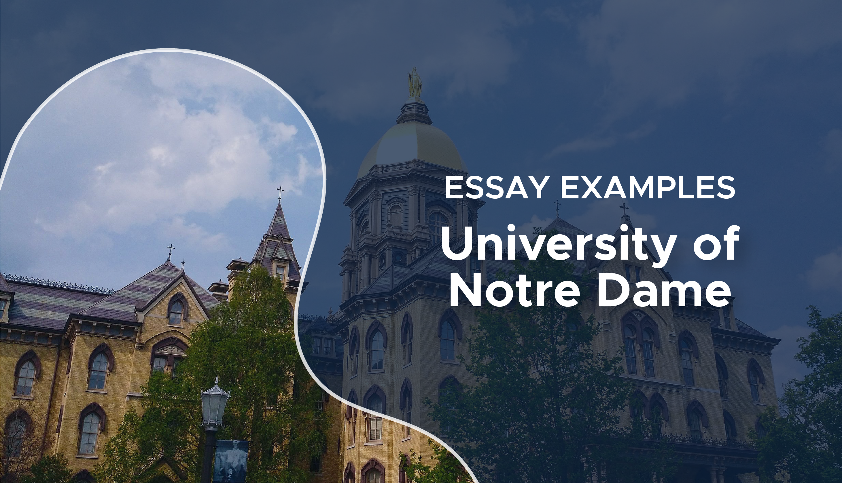 Notre Dame Essay Examples | Why Notre Dame essay