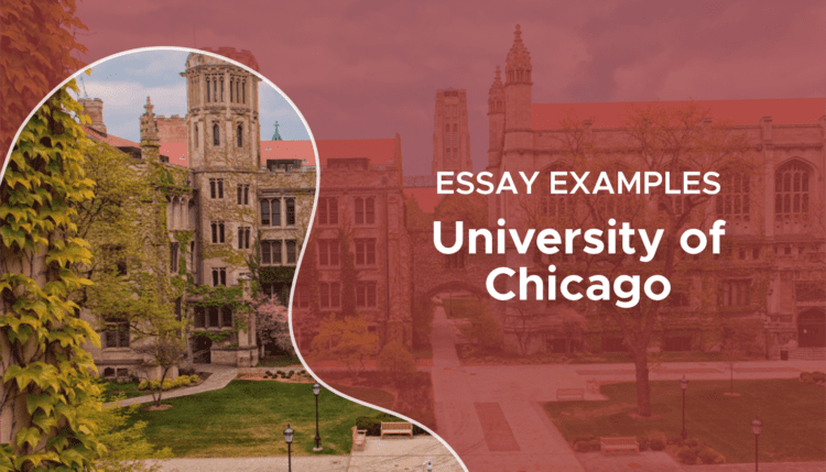 uchicago essay examples