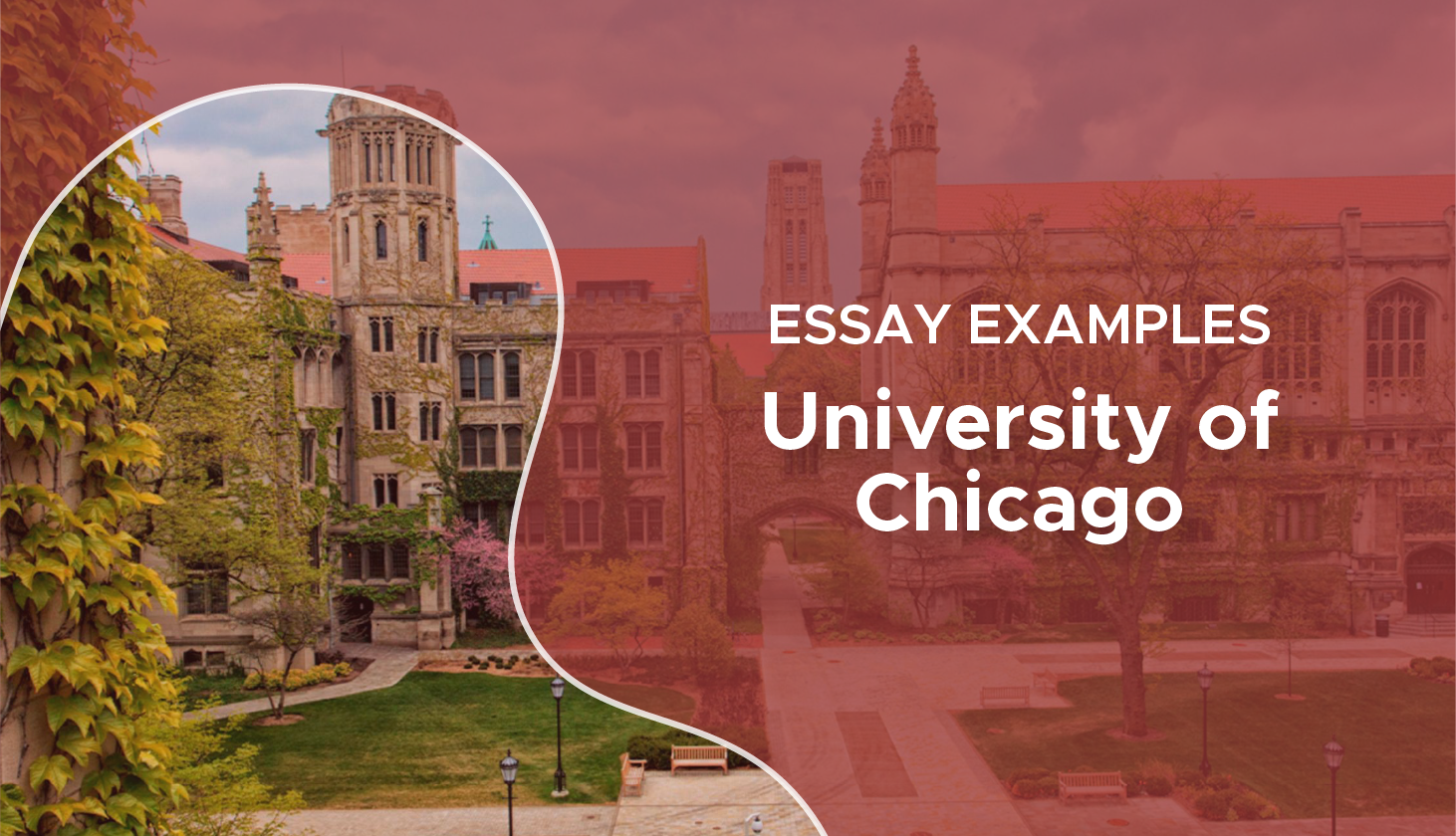 how long should why uchicago essay be