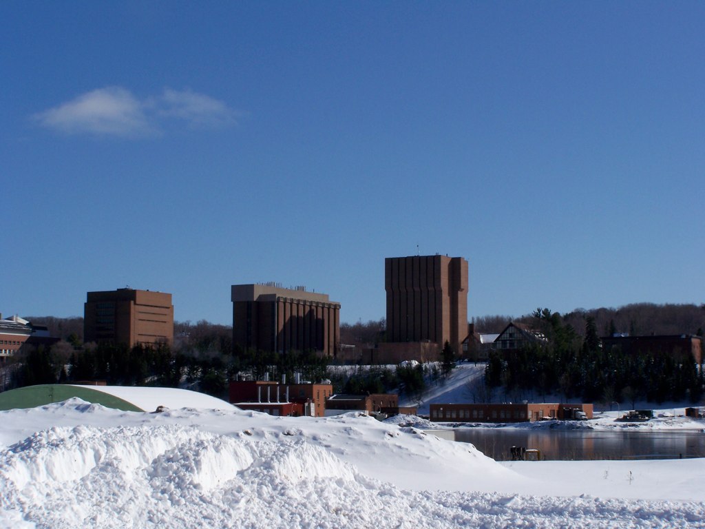 best colleges in michigan