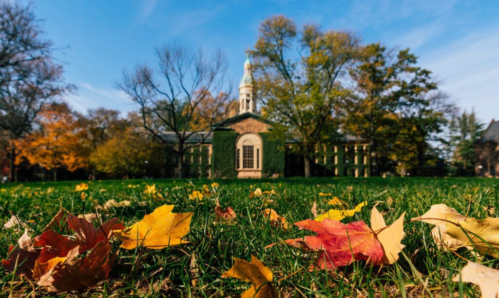 Ivy League Essay Examples
