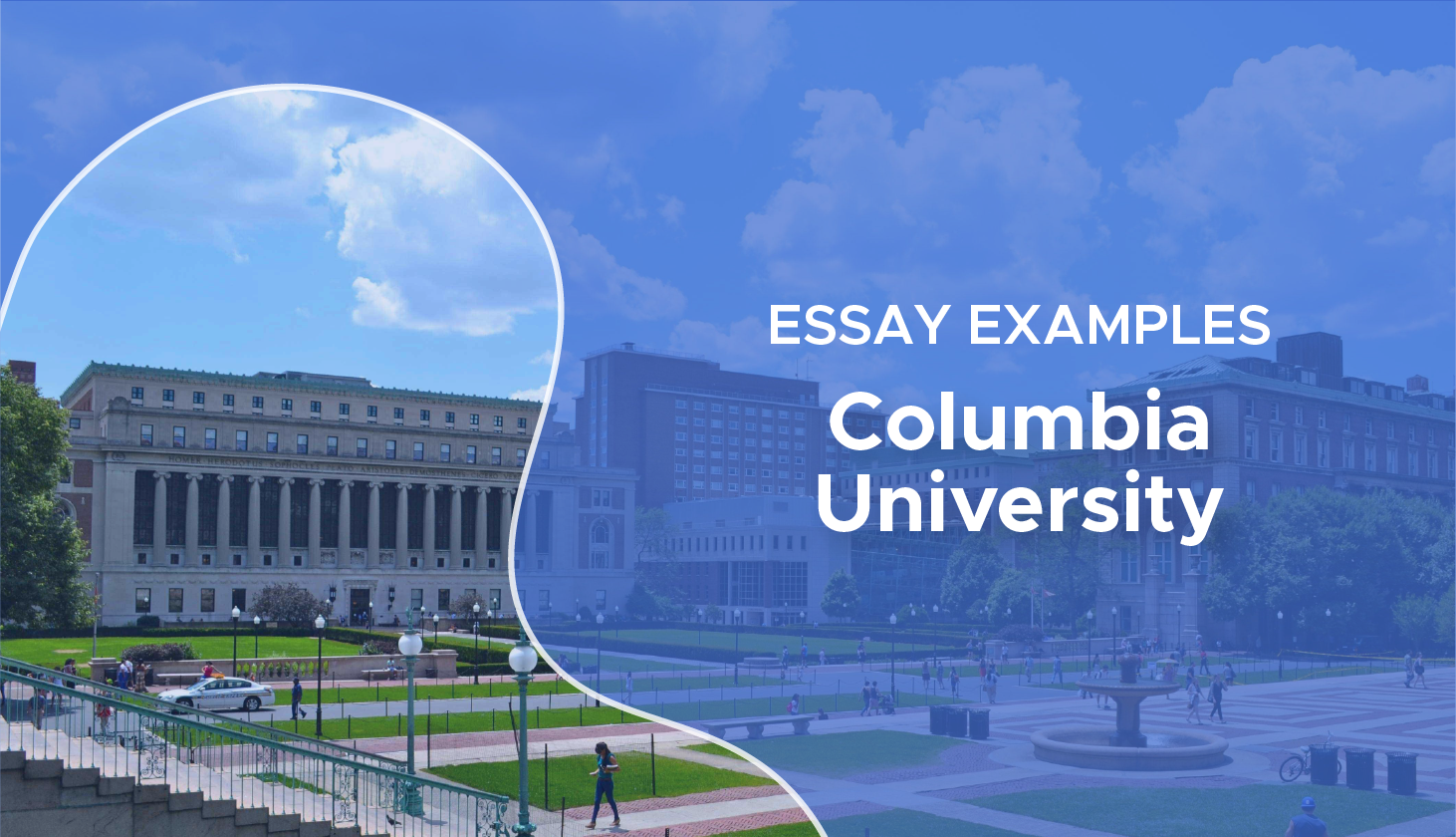 successful columbia essays