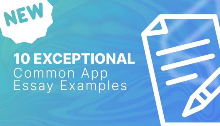 common app essay examples