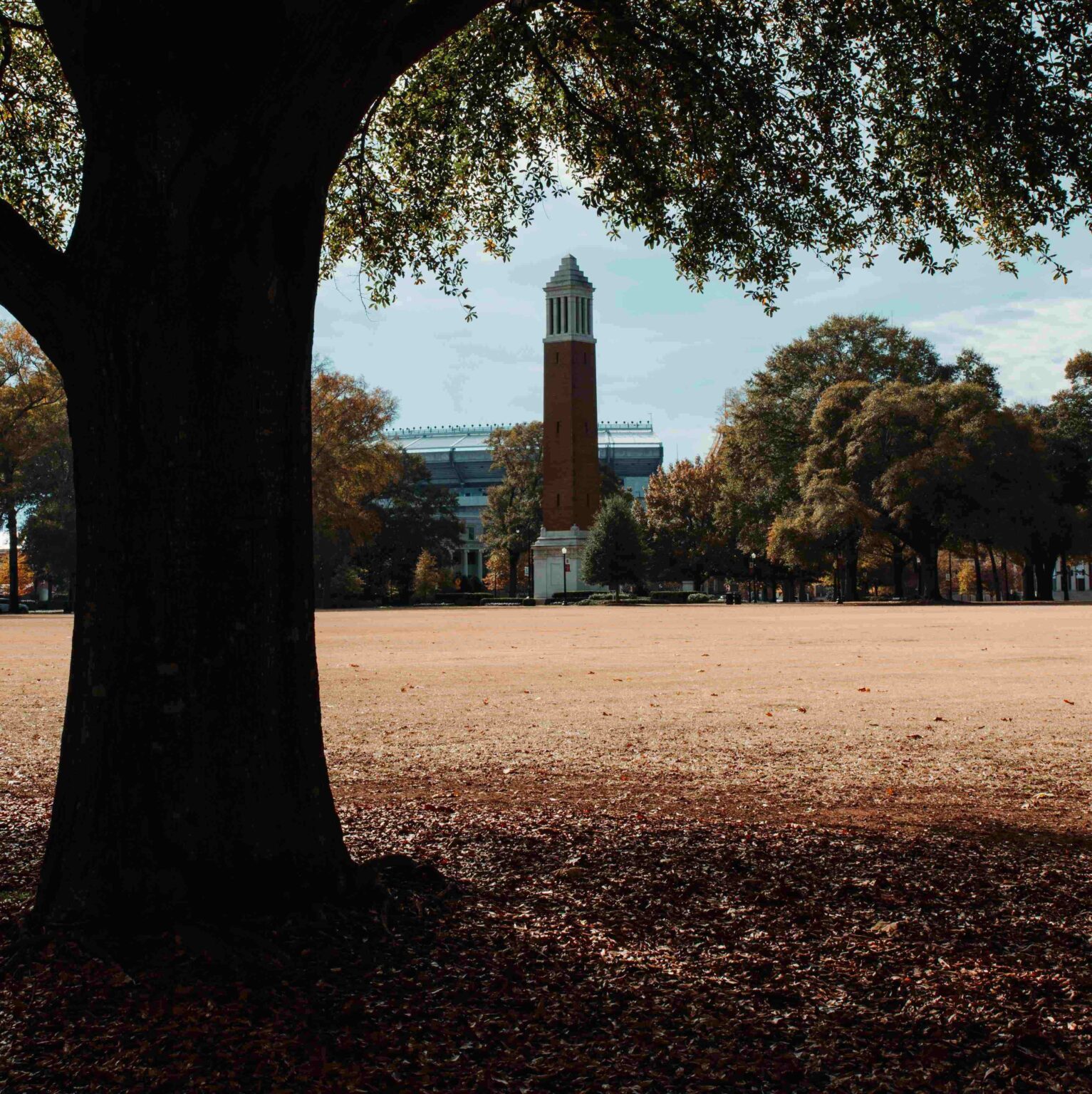 33 Colleges Without Supplemental Essays!