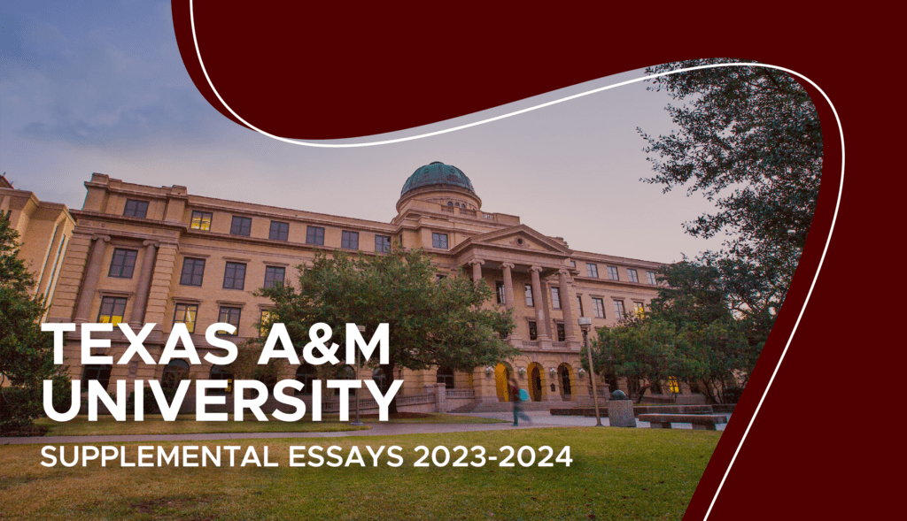 how to write texas a&m supplemental essays