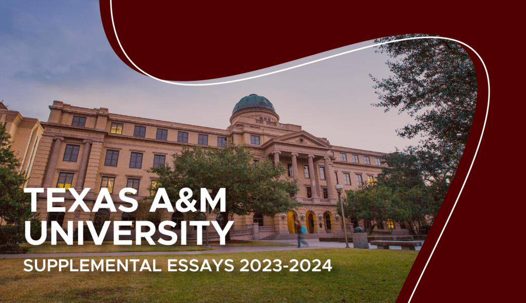 texas a&m essay 2023