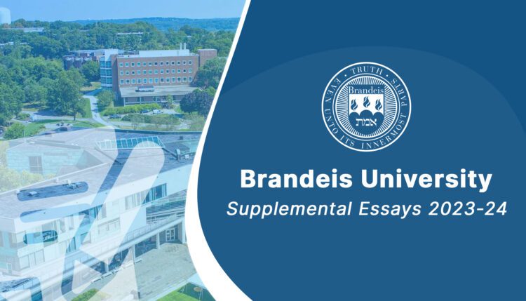 brandeis supplemental essays