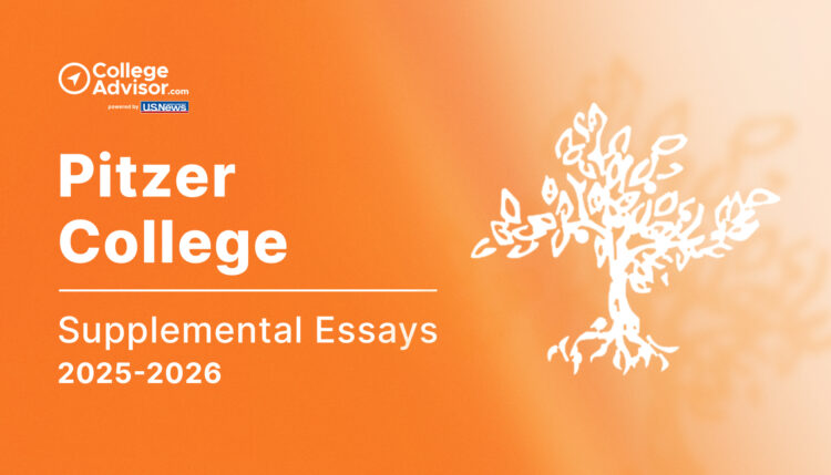 pitzer supplemental essays