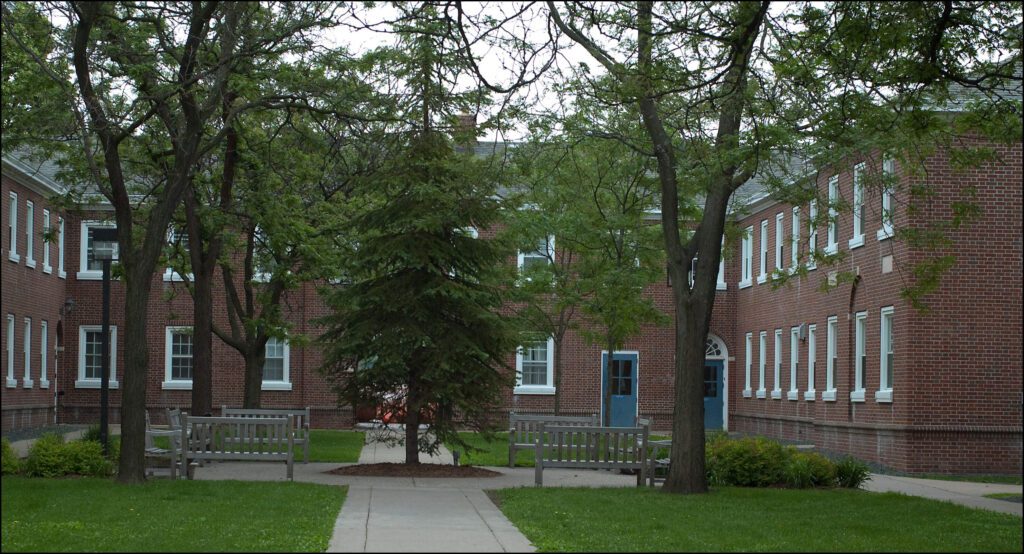 macalester college supplemental essays