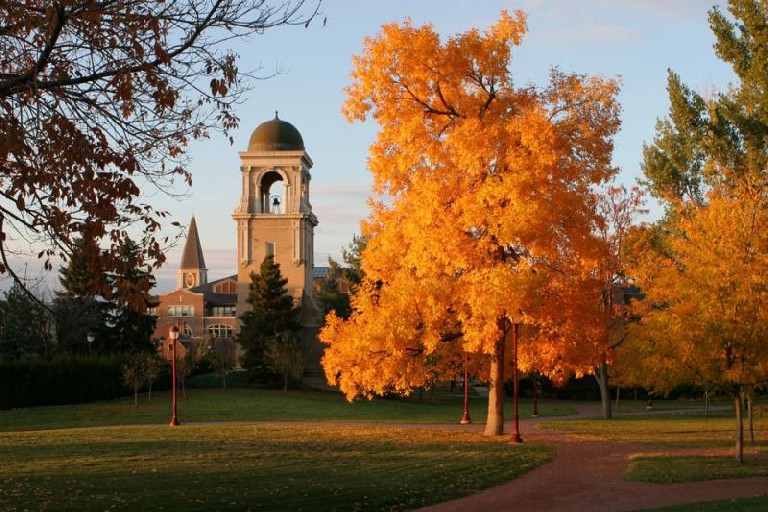 highest acceptance rate colleges