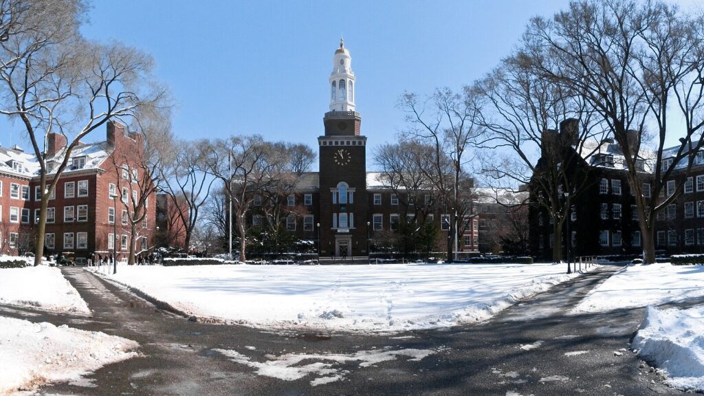 art schools in new york