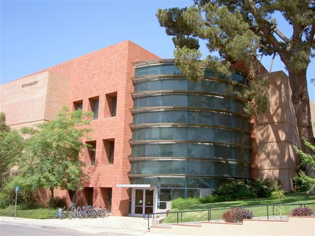 best undergraduate business schools