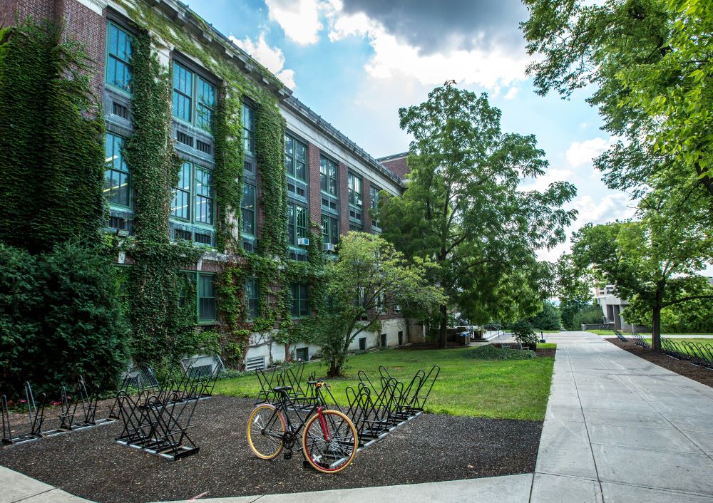 best undergraduate business schools