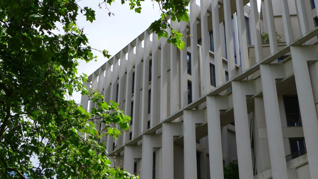 best undergraduate business schools