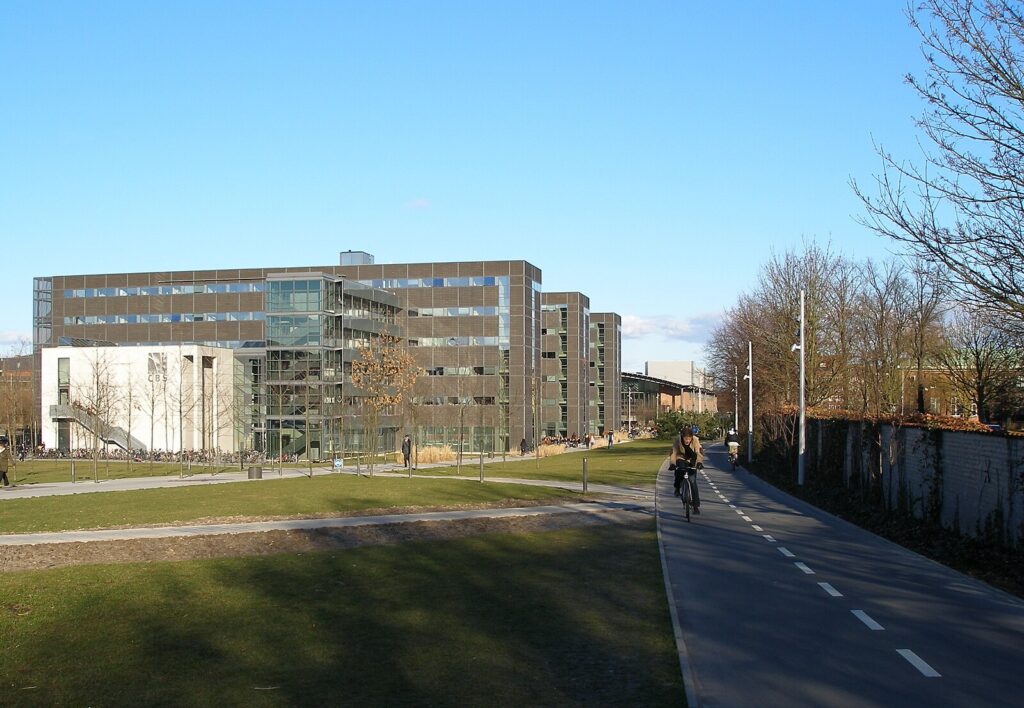 best undergraduate business schools