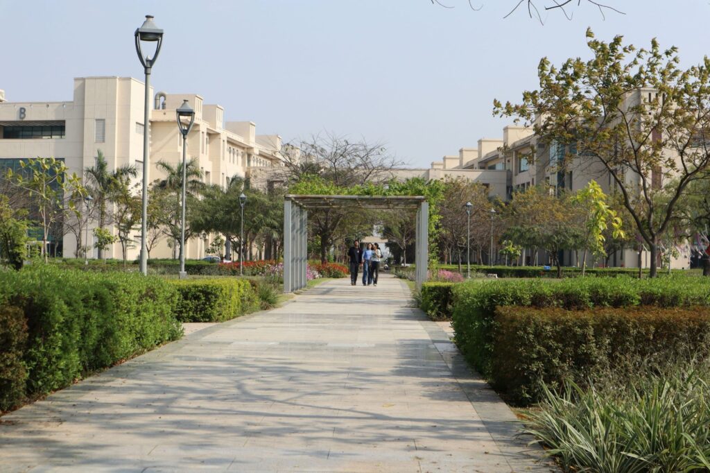 higher education in india