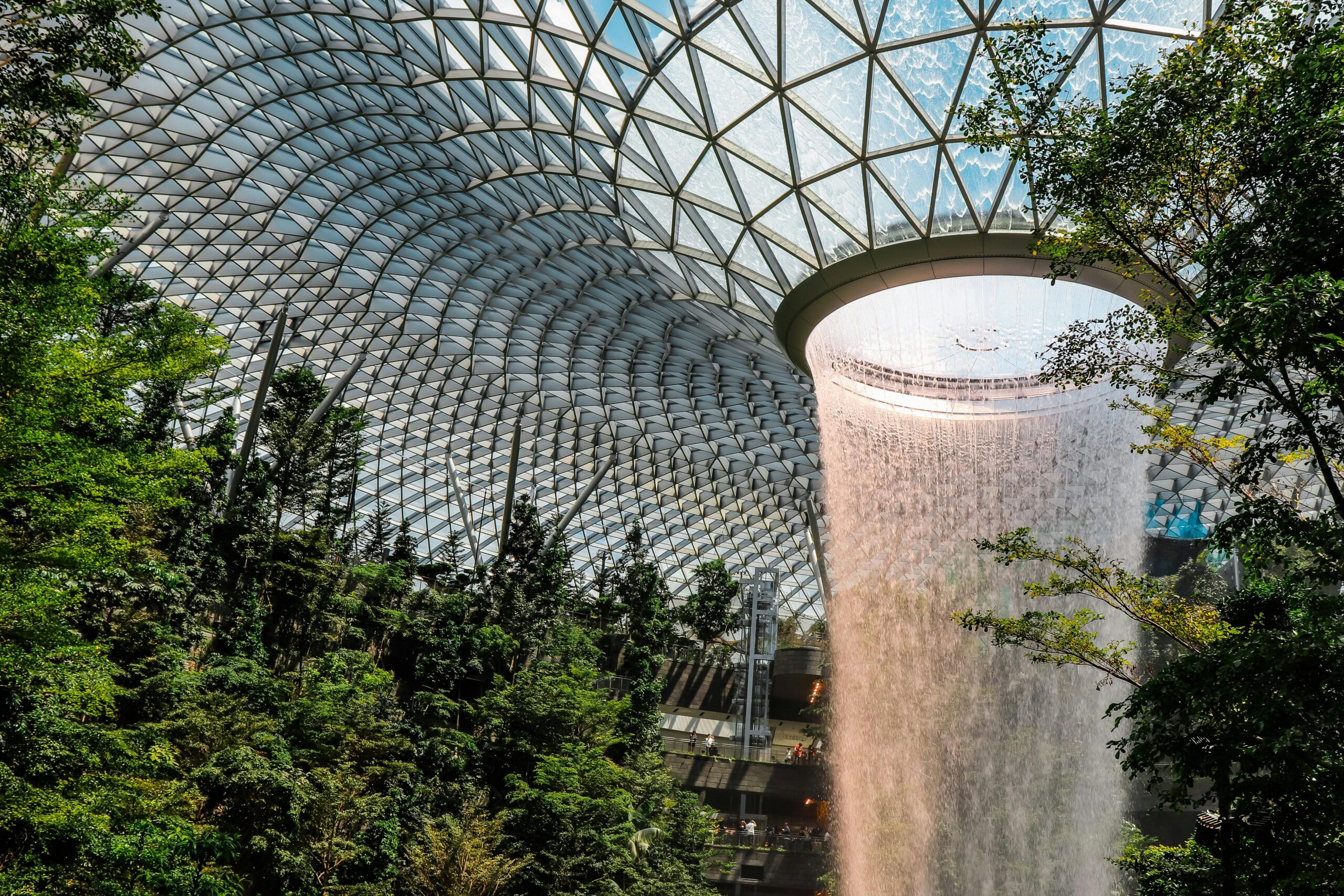 higher education in singapore